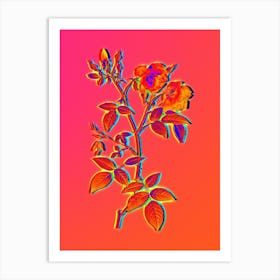 Neon Velvet China Rose Botanical in Hot Pink and Electric Blue n.0016 Art Print