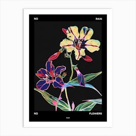 No Rain No Flowers Poster Phlox 3 Art Print