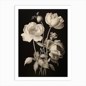 Three Black And White Flowers On A Bookplate Art Print