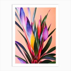 Bromeliad Colourful Illustration Art Print