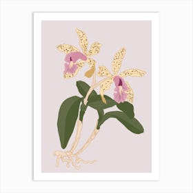 Botanical illustration - Orchids in pink background - Into the garden Art Print