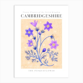 County Flower of Cambridgeshire Pasqueflower Art Print