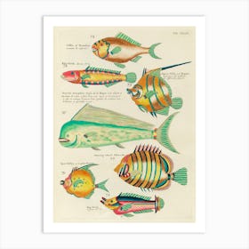 Colourful And Surreal Illustrations Of Fishes Found In Moluccas (Indonesia) And The East Indies, Louis Renard(19) Art Print