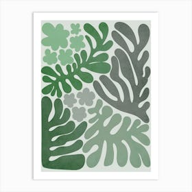 Ferns Art Print