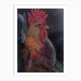 Cockerel  Art Print