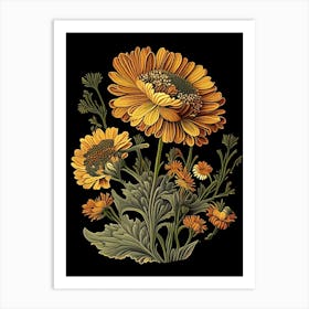 Calendula 1 Floral Botanical Vintage Poster Flower Art Print