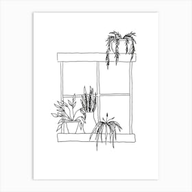 Window Plants Art Print