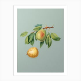 Vintage Pear Botanical Art on Mint Green n.0913 Art Print