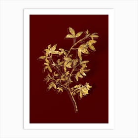 Vintage Stinking Bean Trefoil Botanical in Gold on Red n.0092 Art Print