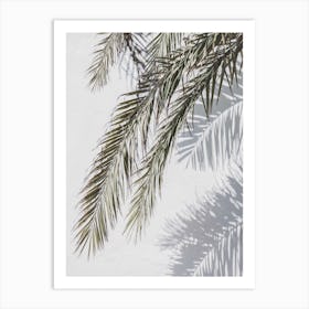 Palms And Shadows Art Print