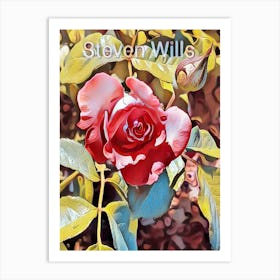 Roses By Steven Wills Art Print