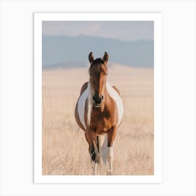 Horse Approaching Art Print