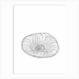 Ammonites Black & White Drawing Art Print