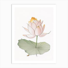 Amur Lotus Pencil Illustration 5 Art Print