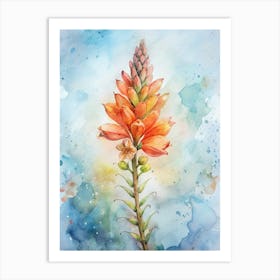 Lupine Art Print