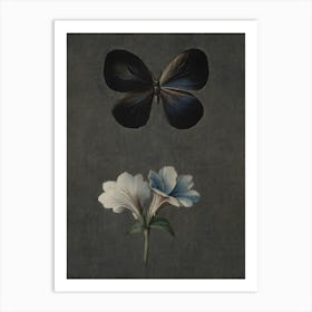 Butterfly And Flower Art Print