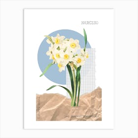 Narciso Art Print