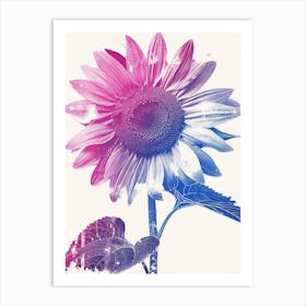 Sunflower In Pink And Blue Art Print