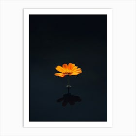 Orange Flower 15 Art Print