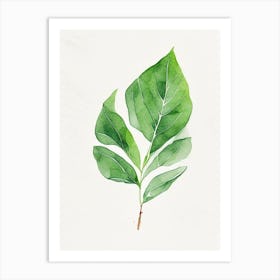 Spinach Leaf Minimalist Watercolour Art Print