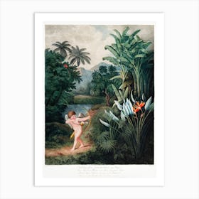 Cupid Inspiring Plants With Love From The Temple Of Flora (1807), Robert John Thornton Art Print