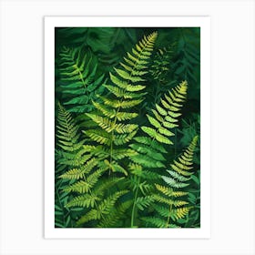 Ferns In The Forest Art Print