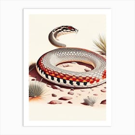 Desert Kingsnake Snake 1 Vintage Art Print