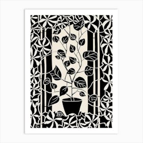 B&W Plant Illustration Hoya 5 Art Print