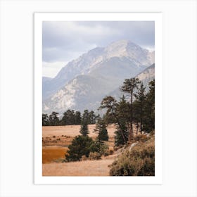 Mountain Meadow Art Print