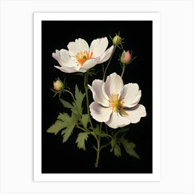 Anemones 1 Art Print