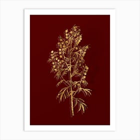 Vintage Madeira Wormwood Botanical in Gold on Red n.0401 Art Print