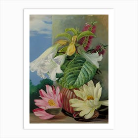 Lotus In A Vase Art Print