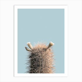 Landscapes Raw 10 Echinopsis (Bolivia) Art Print