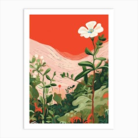 Boho Wildflower Painting White Campion 2 Art Print