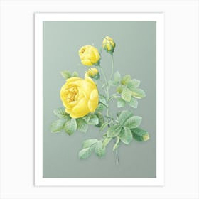 Vintage Yellow Rose Botanical Art on Mint Green n.0320 Art Print