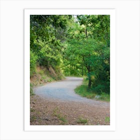 Road In The Woods 20210831 268ppub Art Print