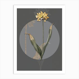 Vintage Botanical Golden Garlic on Circle Gray on Gray n.0246 Art Print