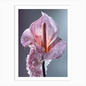 Calla Lily Art Print