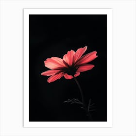 Dark Red Flower 2 Art Print