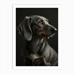 Dachshund Portrait Art Print