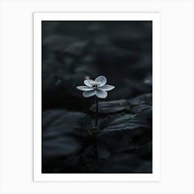 Dark Flower 16 Art Print