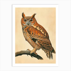 Brown Fish Owl Vintage Illustration 1 Art Print