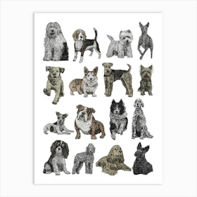 British Dog Breeds Illustration Art Print