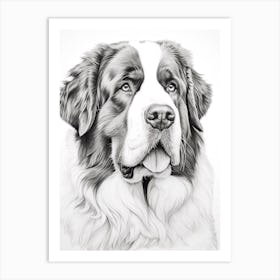 Saint Bernard Dog, Line Drawing 1 Art Print