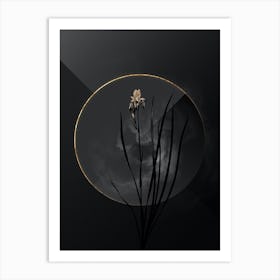Shadowy Vintage Siberian Iris Botanical on Black with Gold Art Print