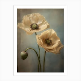 Poppies 34 Art Print