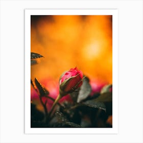 Poster Flower Art Print 15 Art Print