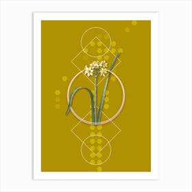 Vintage Cowslip Cupped Daffodil Botanical with Geometric Line Motif and Dot Pattern Art Print