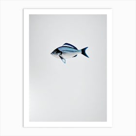 Blue Tang Black & White Drawing Art Print