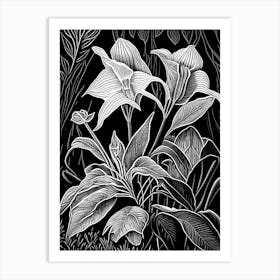 Wild Ginger Wildflower Linocut 2 Art Print